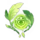 oculi image