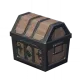 chest image
