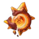 oculi image